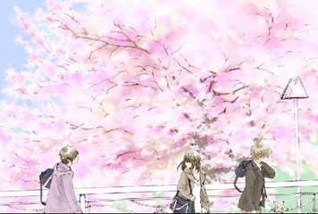 动漫男女差差差滑轮